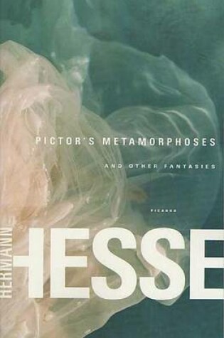 Cover of Pictor's Metamorphoses