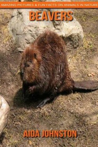 Cover of Beavers