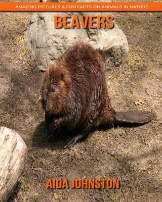 Book cover for Beavers