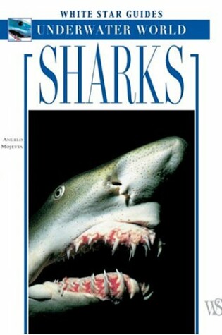 Cover of Sharks