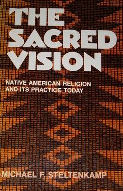 Book cover for The Sacred Vision