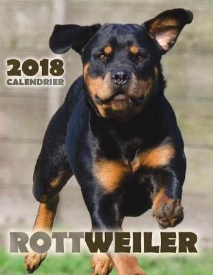 Book cover for Rottweiler 2018 Calendrier (Edition France)