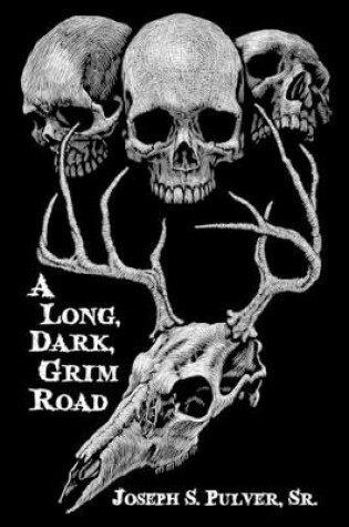 Cover of A Long, Dark, Grim Road