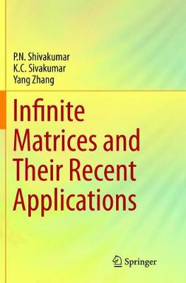 Book cover for Infinite Matrices and Their Recent Applications