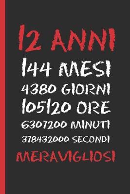 Book cover for 12 Anni Meravigliosi