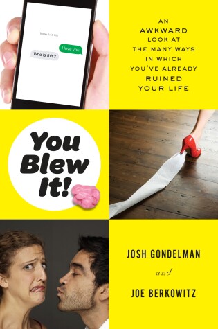 Cover of You Blew It!