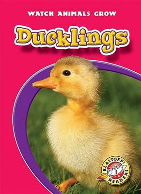 Book cover for Ducklings