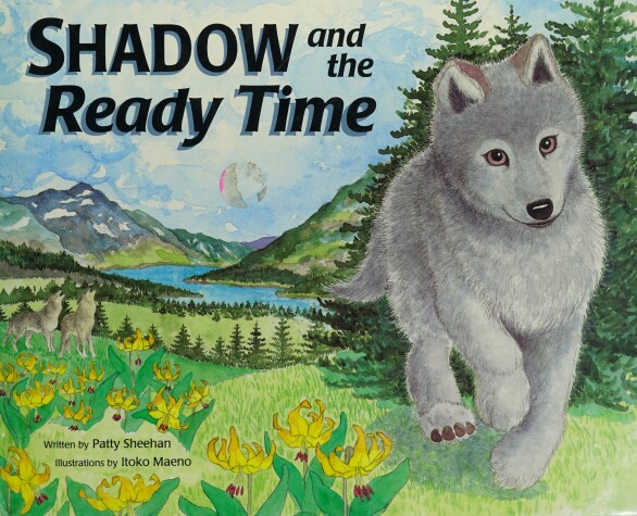 Book cover for Shadow and the Ready Time