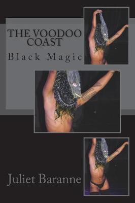 Book cover for The Voodoo Coast