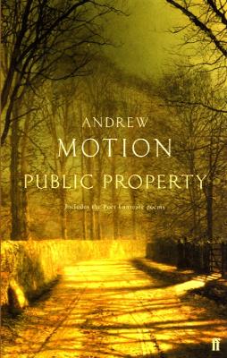 Book cover for Public Property