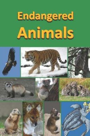 Cover of Endangered Animals