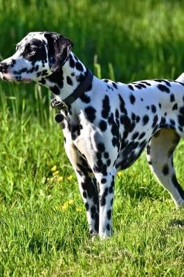 Book cover for Dalmation Dog on the Hunt in the Grass Journal