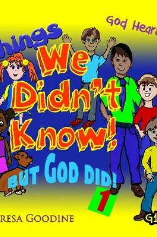 Cover of Things We Didn't Know, but God did!