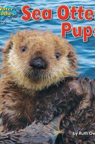 Cover of Sea Otter Pups