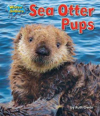 Cover of Sea Otter Pups