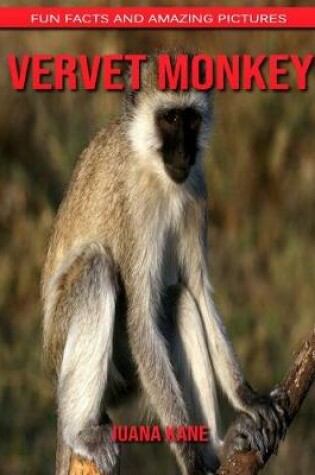 Cover of Vervet Monkey