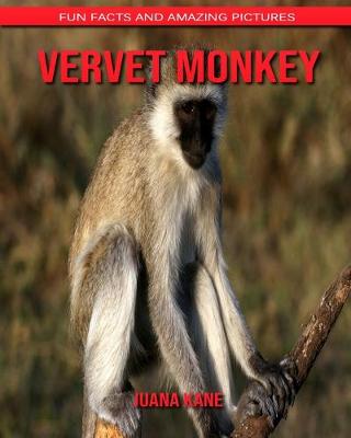 Book cover for Vervet Monkey