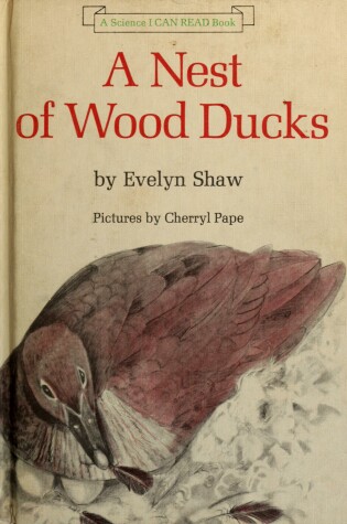 Cover of A Nest of Wood Ducks