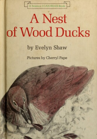 Cover of A Nest of Wood Ducks