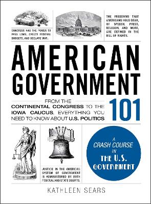 Book cover for American Government 101