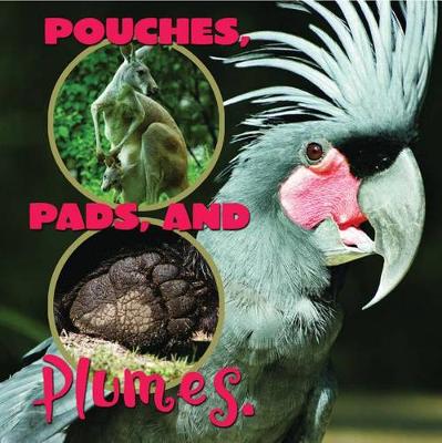 Cover of Pouches, Pads, and Plumes