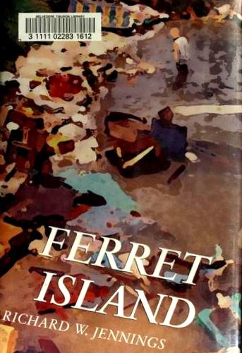 Book cover for Ferret Island