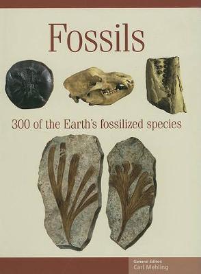 Book cover for Fossils