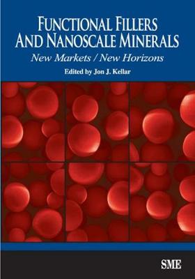 Book cover for Functional Fillers and Nanoscale Minerals