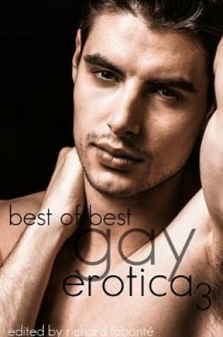 Cover of Best of Best Gay Erotica 3