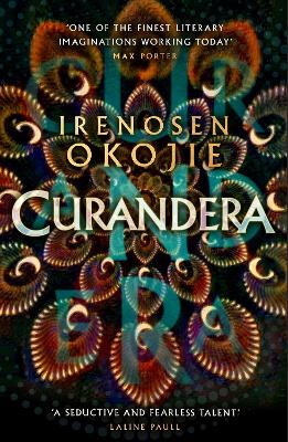 Book cover for Curandera