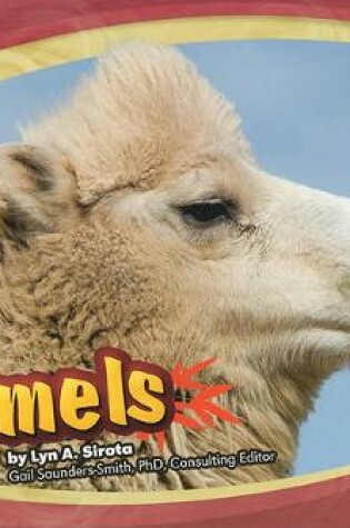 Cover of Camels (Asian Animals)