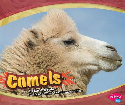 Book cover for Camels (Asian Animals)
