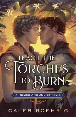 Book cover for Teach the Torches to Burn: A Romeo & Juliet Remix