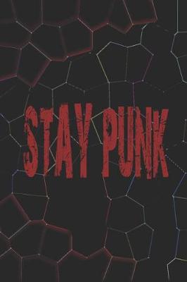 Book cover for Stay Punk