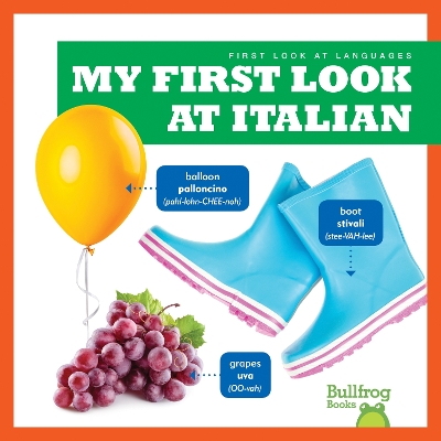 Cover of My First Look At Italian