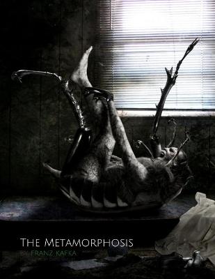 Book cover for The Metamorphosis by Franz Kafka (Translated by David Wyllie)