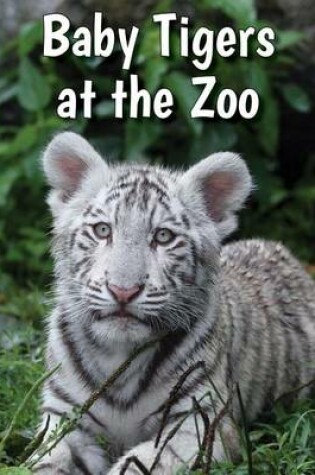 Cover of Baby Tigers at the Zoo