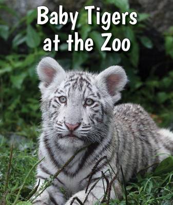 Book cover for Baby Tigers at the Zoo