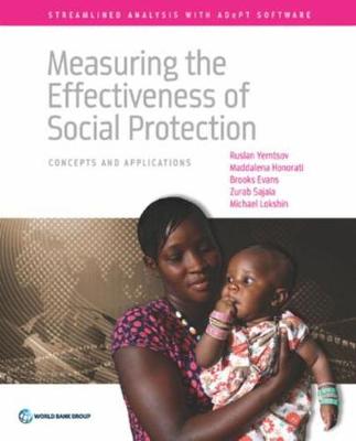 Book cover for Measuring the effectiveness of social protection