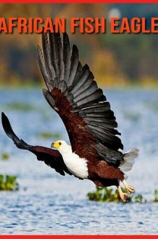 Cover of African Fish Eagle