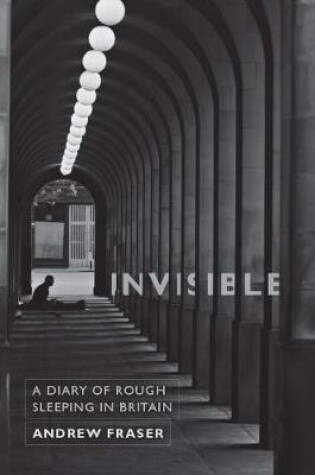 Cover of Invisible