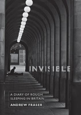 Book cover for Invisible