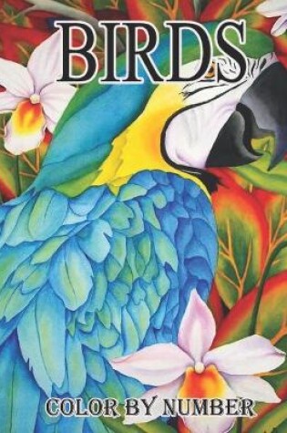 Cover of birds color by number book