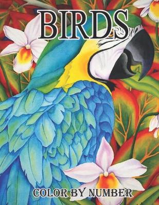 Book cover for birds color by number book