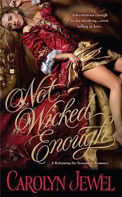 Book cover for Not Wicked Enough