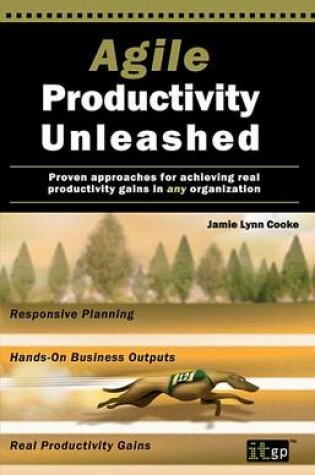 Cover of Agile Productivity Unleashed