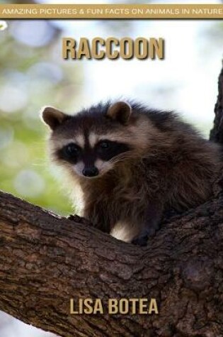 Cover of Raccoon