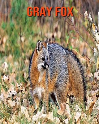 Book cover for Gray Fox
