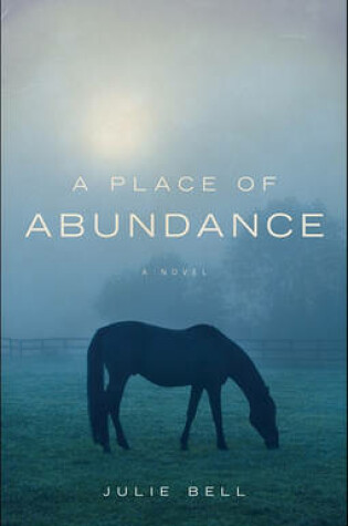Cover of A Place of Abundance