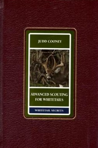 Cover of Advanced Scouting for Whitetails